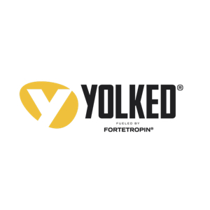 yolked_logo